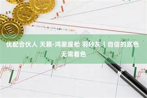 优配合伙人 天籁·鸿蒙座舱 羽砂灰丨自信的底色 无需着色