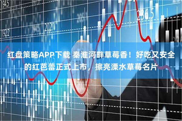 红盘策略APP下载 秦淮河畔草莓香!好吃又安全的红芭蕾正式上市,擦亮溧水草莓名片
