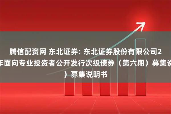 腾信配资网 东北证券: 东北证券股份有限公司2025年面向专业投资者公开发行次级债券(第六期)募集说明书